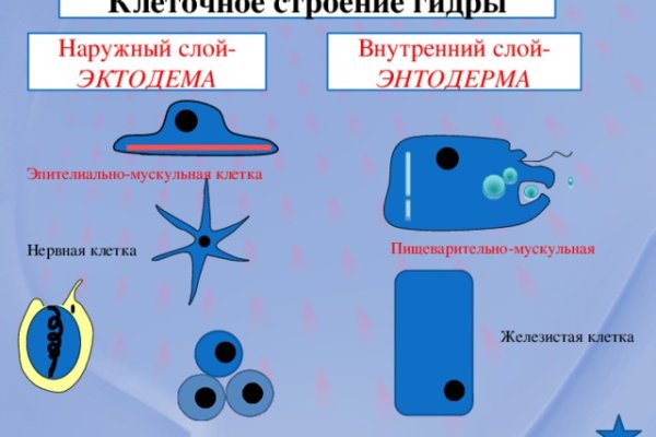 Как найти кракен шоп