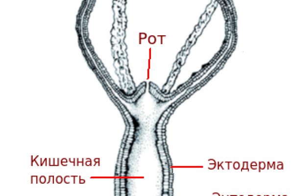 Кракен актуальная ссылка