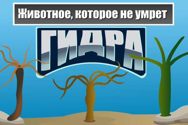 Что с кракеном сайт