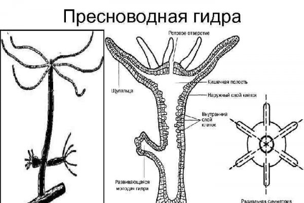 Покупки на кракене даркнет