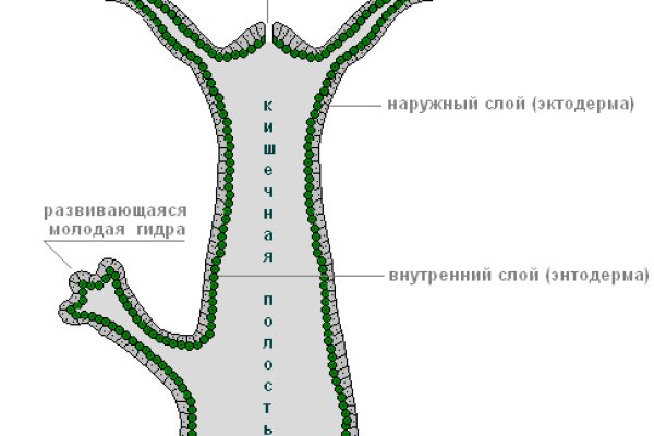 Кракен через обычный браузер