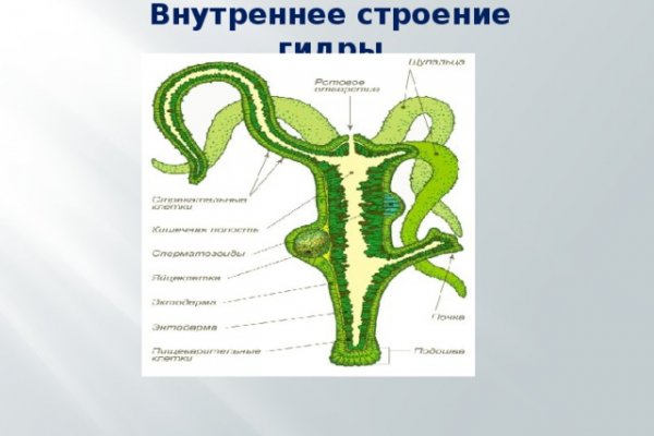 Кракен в россии наркотик