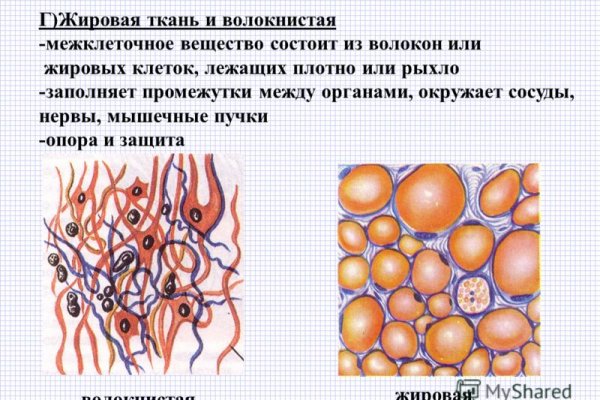 Kraken даркнет рынок